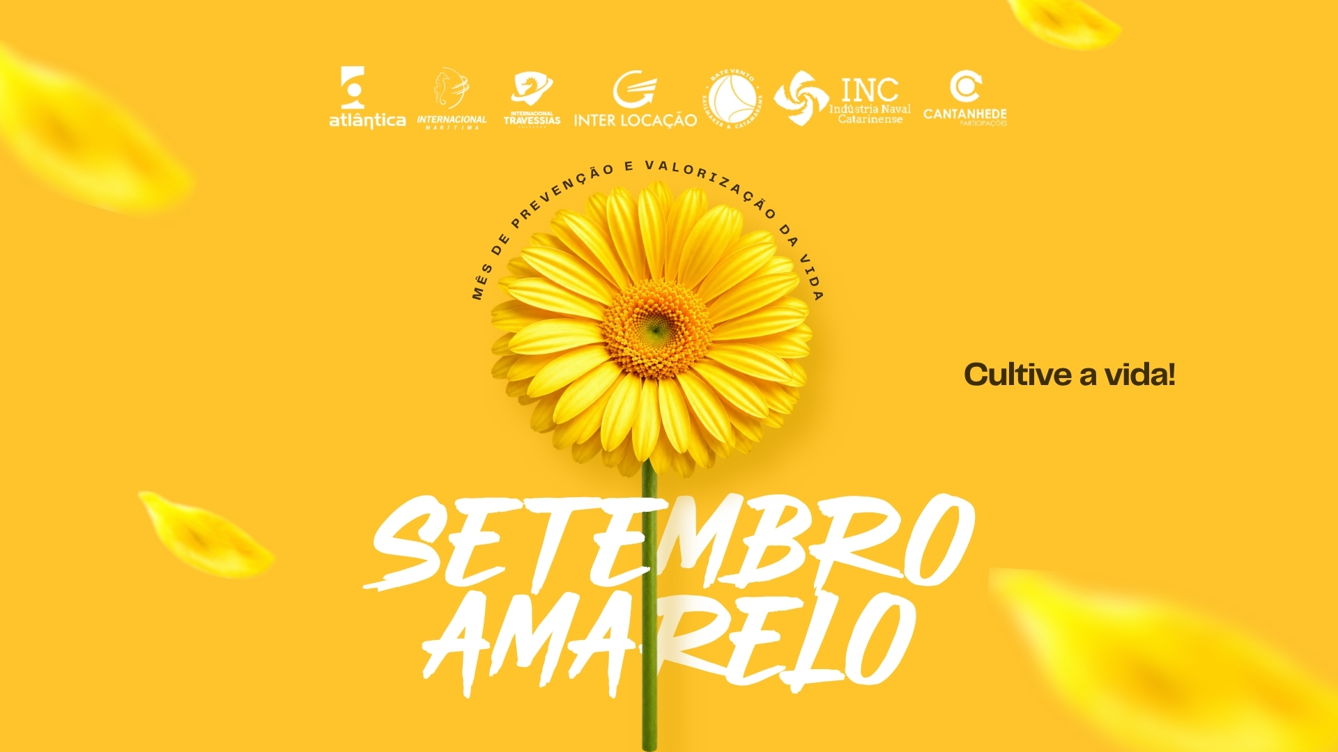 Campanha Qsms Setembro/2026